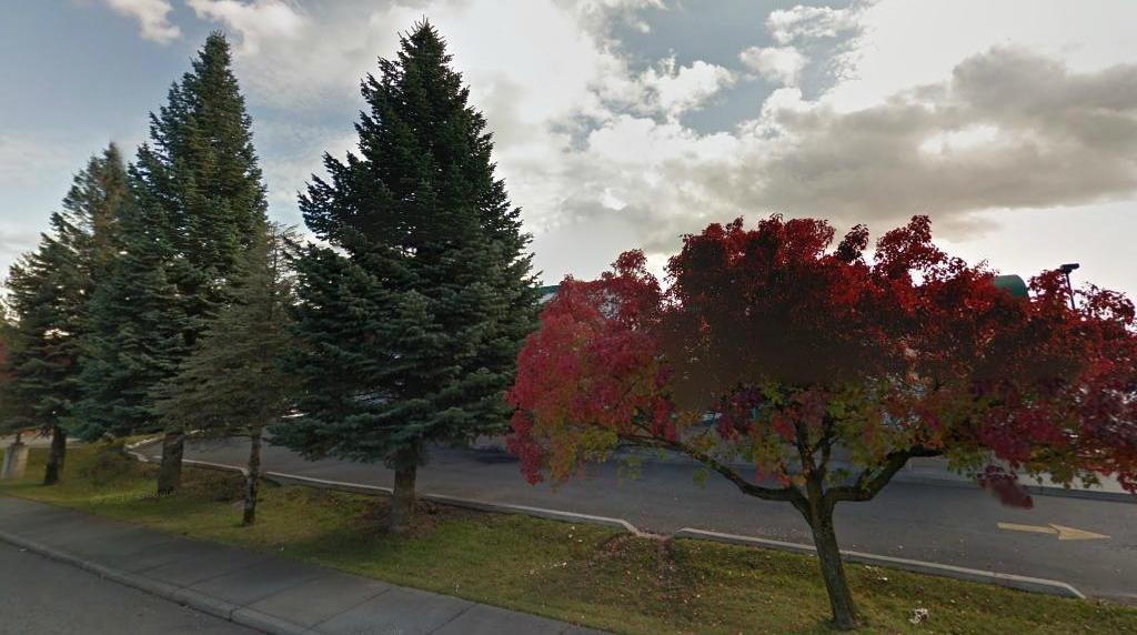 Summit Dentistry Dr. Lopez DDS Spokane WA 99208 5094661200